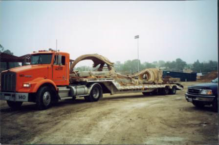 Bowhead Whale Skeleton